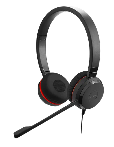Наушники с микрофоном Jabra Evolve 20 SE 4999-823-369, USB, накладные, черный