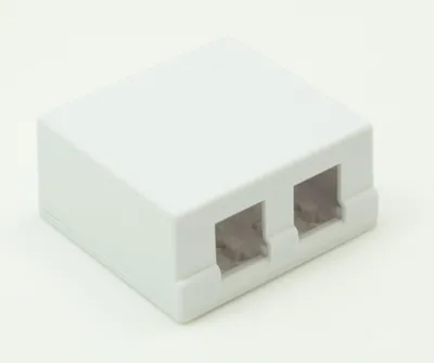 Корпус розетки NETLAN EC-UWO-2KJ-WT-10, настенный, 2xKeystone, 10шт