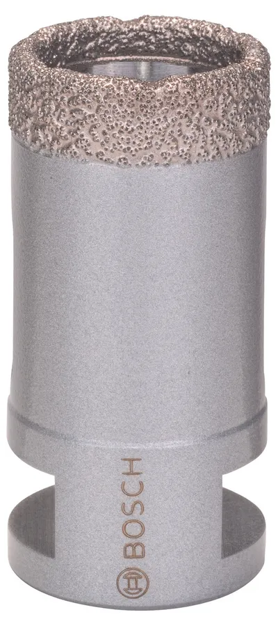 Bosch Dry Speed (2.608.587.119)