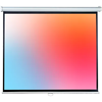 Проекционный экран Lumien Eco Picture LEP-100132, 100", 16:10, Matte White, настенно-потолочный