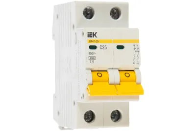 Автоматический выключатель IEK ВА47-29 MVA20-2-025-C, 2P, 25 А, тип C, 4,5 кА