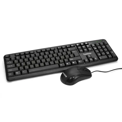 Комплект ExeGate Professional Standard Combo MK120, клавиатура 104 кл. + мышь 1000 dpi, USB