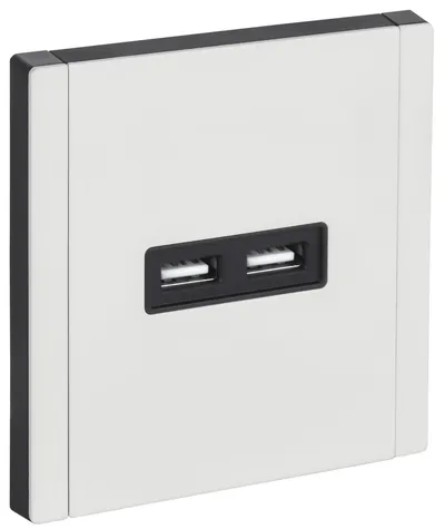 Розетка IEK FORTE&PIANO FP-U21-D31-M-K01, USB A+A 3,1А, металл белый