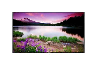 Профессиональный дисплей Lumien LB9850SD серии Basic, 98", 3840х2160, 1200:1, 500кд/м2, Android 8.0, 24/7, альбомная/пор