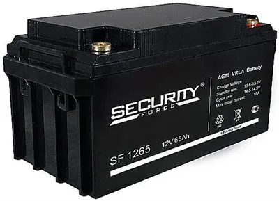 Аккумулятор Security Force SF 1265, 12 В, 65 А·ч, AGM, клемма болт М6
