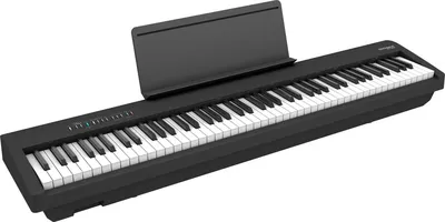 Цифровое пианино Roland FP-30X-BK, 88 клавиш PHA-4 Standard, 256 голосов, черное