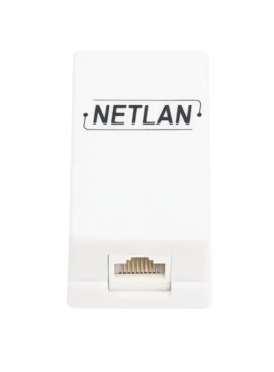 Соединитель NETLAN EC-UCB-55-UD2-WT-10, RJ45, кат.5e, 10 шт