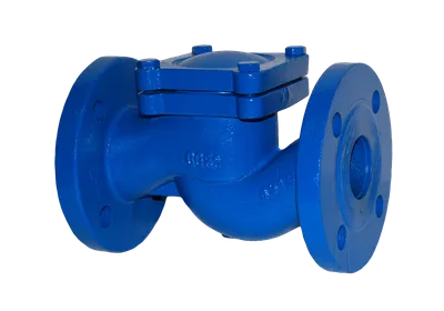 Клапан обратный ADL DF04E102860, DN80, PN16, фланцевый, чугун