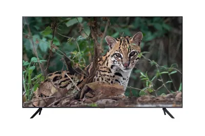 Телевизор коммерческий Samsung BE43C-H, 4K, 250кд/м², Tizen 7.0
