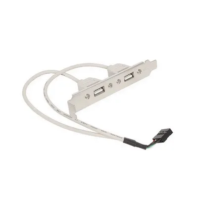 Планка USB Gembird CCUSBRECEPTACLE, 2× USB 2.0 Type-A, подключение 9 pin