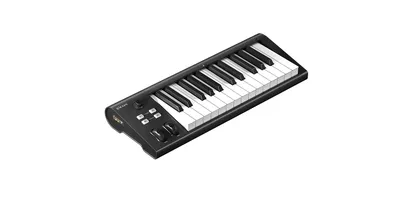 MIDI-клавиатура Icon 110105A2028 Artist 25, 25 клавиш, USB