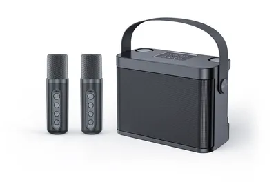 Переносная караоке система [TRS2404] iconBIT [K802B] Колонка 10Вт, 2 микрофона Bluetooth, аккумулятор в колонке 3000mah и микрофонах, 22.3*9.6*15.7CM / 16*10*20.2CM, цвет черный