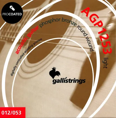 Комплект струн GALLI STRINGS AGP1253, для акустической гитары