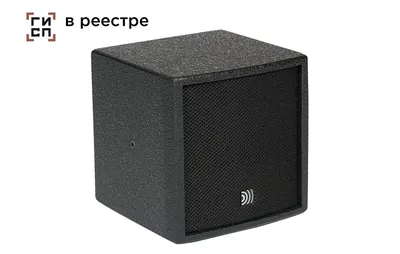 Акустическая система DS Proaudio [CX 106] Пассивная 2-х полосная коаксиальная (6+1), 155/700 Вт, 8 Ом, угол раскрытия 90°х 90°, частотный диапазон 170-20000 Гц (+/-3 дБ), звуковое давление продолжительное/пиковое 120/126 дБ РОСРЕЕСТР