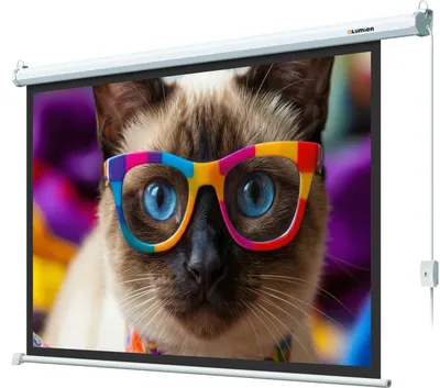 Экран с электроприводом Lumien Eco Control LEC-100118, 84", 16:9, Matte White