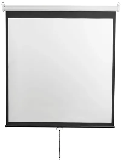 Экран Digis DSOD-16906MW, 273×159 см, 16:9, ручной