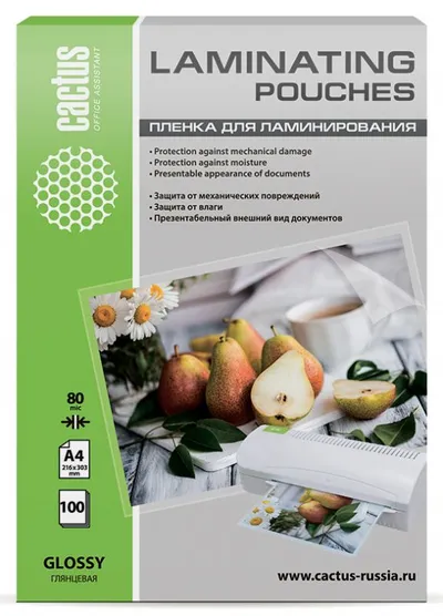 Пленка для ламинирования Cactus CS-LPGA480100, A4, 80 мкм, глянцевая, 100 шт
