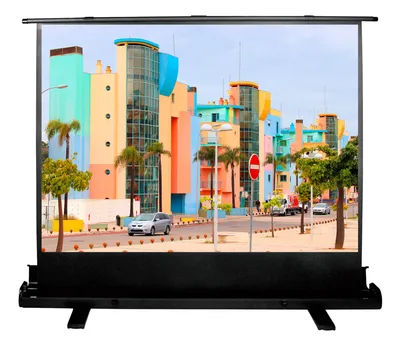 Экран для проектора Cactus CS-PSFLE-160X120, 120×160 см, 4:3, напольный рулонный