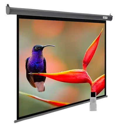 Проекционный экран Cactus SilverMotoExpert CS-PSSME-220X138-DG, 102", 16:10, моторизованный