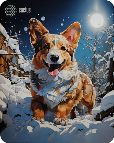 Коврик для мыши Cactus Corgi CS-MPC-D13M, 300×250×3 мм, ткань/резина