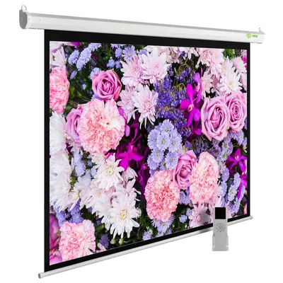 Экран проекционный Cactus CS-PSSME-240X150-WT, 111", 2400x1500 мм, 16:10, моторизованный