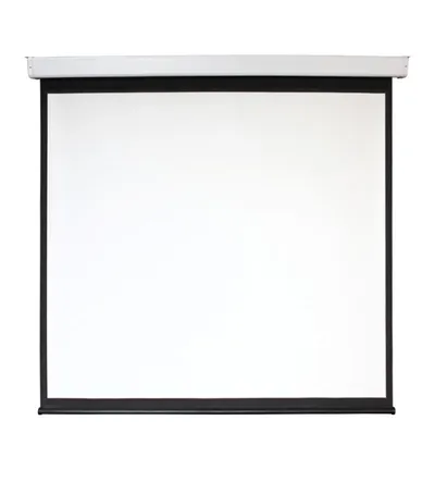 Экран Digis DSEF-16906, 135", 16:9, с электроприводом