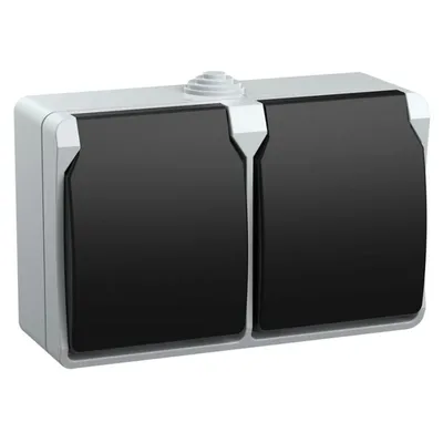 Розетка IEK ERS22-K03-16-54-DC Форс, 2-местная, 16 А, IP54