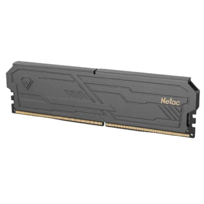 Оперативная память Netac NTSHD4P32SP-16K, 16 ГБ, DDR4, 3200 МГц, CL16