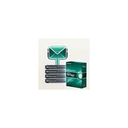 Лицензия Kaspersky KL4413RAKFS, Security для интернет-шлюзов, 10-14 Node, 1 год