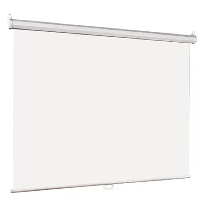 Экран Lumien LEP-100110 Eco Picture, 220×220см, Matte White, 1:1, настенный