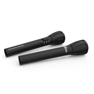 Микрофон Ritmix RWM-302 black_DP