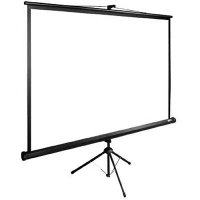 Экран проекционный Cactus CS-PSTE-180X180-BK, 180×180 см, напольный рулонный