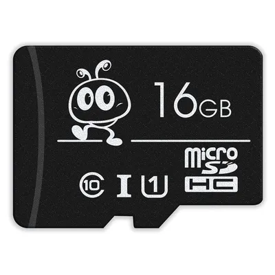 Карта памяти SmartBuy SB16GBSDCL10-01, microSD, 16 ГБ, Class 10