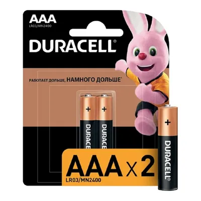 Батарейки Duracell B0026812, LR03, AAA, 2 шт.