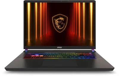 Ноутбук MSI Vector 17 HX AI A2XWJG-099XRU, Core Ultra 9 275HX, 32 ГБ DDR5, 1 ТБ SSD, RTX 5090 24 ГБ, 17" QHD+ 240 Гц