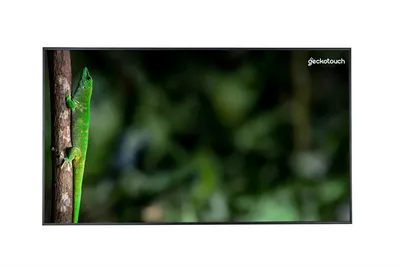 Дисплей Geckotouch 43DCR, 43", 4K, 500 кд/м2, Android