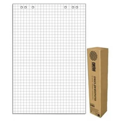 Блок бумаги Cactus CS-PFC20S-5 для флипчартов, 67.5x98 см, клетка, 20 л