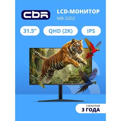 Монитор CBR MB-3202 (LCD-MB3202-OPC), 31.5", IPS, QHD 2560x1440, 100 Гц