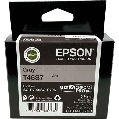 Картридж EPSON C13T46S700, серый, стандартная ёмкость, 1 шт