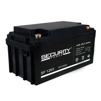 Аккумулятор Security Force SF 1265, 12V, 65Ah, AGM