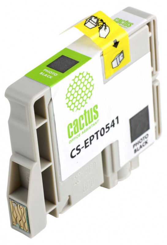 Картридж струйный Cactus CS-EPT0541 T0541 черный (16.2мл) для Epson Stylus Photo R800/R1800 с чипом