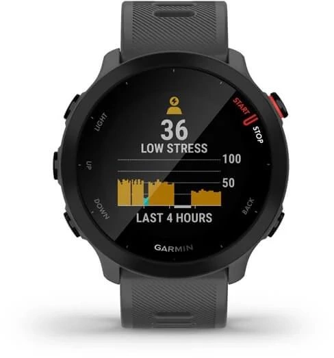 Смарт-часы Garmin Forerunner 55 42мм 1.04" LCD корп.серый рем.серый разм.брасл.:127-220мм (010-02562-13)