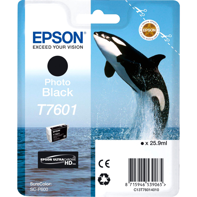 Epson T7601 (C13T76014010)