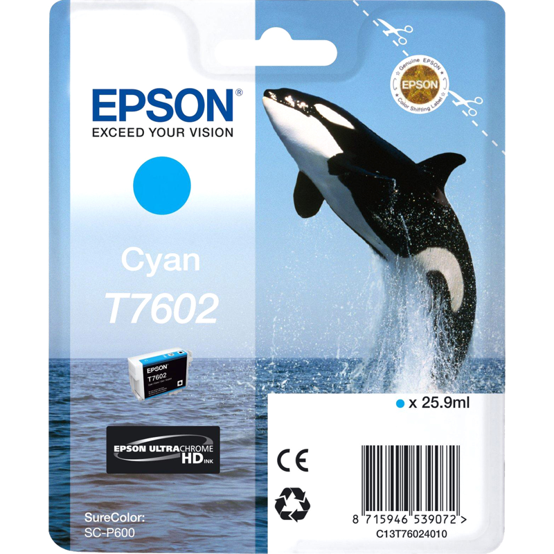Epson T7602 (C13T76024010)