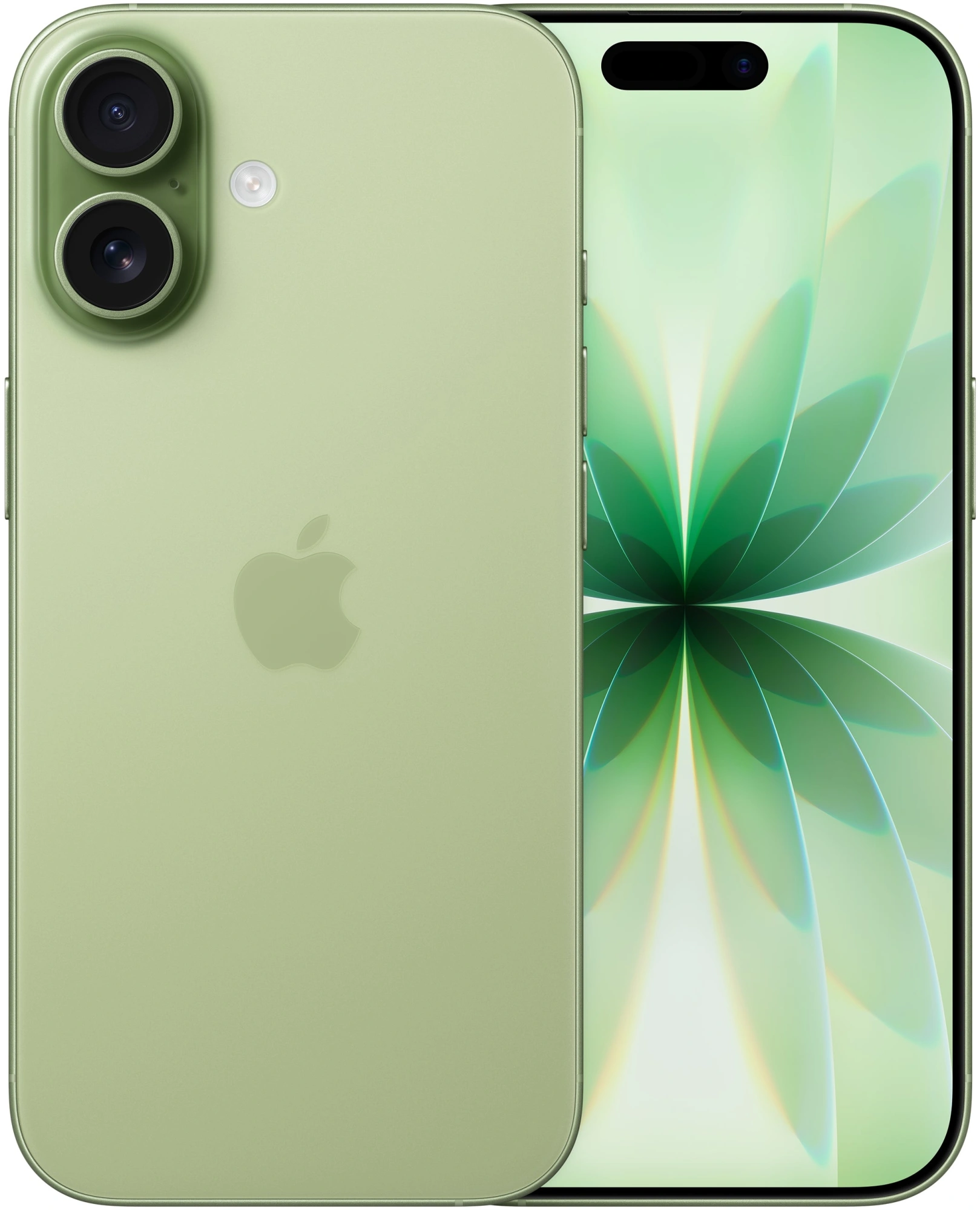 Смартфон Apple A3520 iPhone 17 256Gb зеленый моноблок 3G 4G 1Sim 6.3" 1206x2622 iOS 26 48Mpix 802.11 a/b/g/n/ac/ax/be NFC GPS Protect