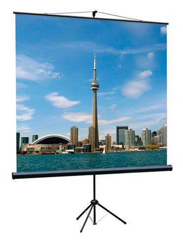 Экран на треноге Lumien 89" 160x160см Eco View LEV-100105 1:1 напольный рулонный