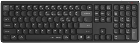 Клавиатура A4Tech Fstyler FBX55C черный USB беспроводная BT/Radio slim Multimedia (FBX55C)