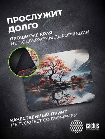 Коврик для мыши Cactus Lake рисунок 400x300x3мм (CS-MP-PRO18XL)