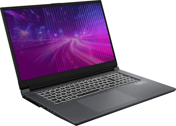 Ноутбук Osio CyberLine C170i-001 Core i5 12600H 16Gb SSD512Gb NVIDIA GeForce RTX 3050 6Gb 17.3" IPS FHD (1920x1080) без ОС dk.grey WiFi BT Cam 3410mAh