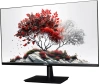 Монитор RDW Computers 27" RDW2701K черный IPS 5ms 16:9 HDMI M/M HAS Piv 1000:1 300cd 178гр/178гр 1920x1080 100Hz VGA DP FHD (RUS)